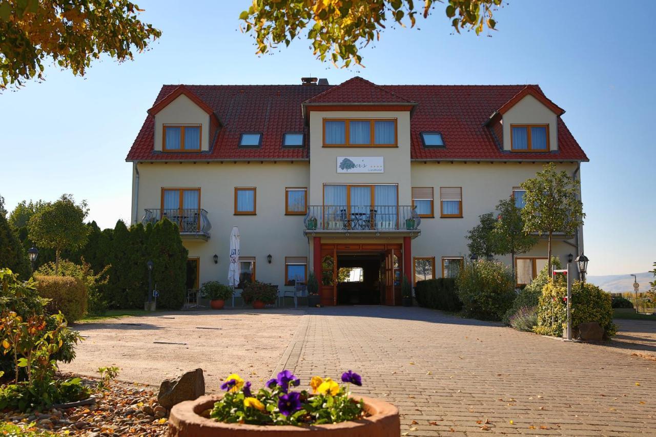 Fetzers Landhotel Ingelheim am Rhein Exterior photo