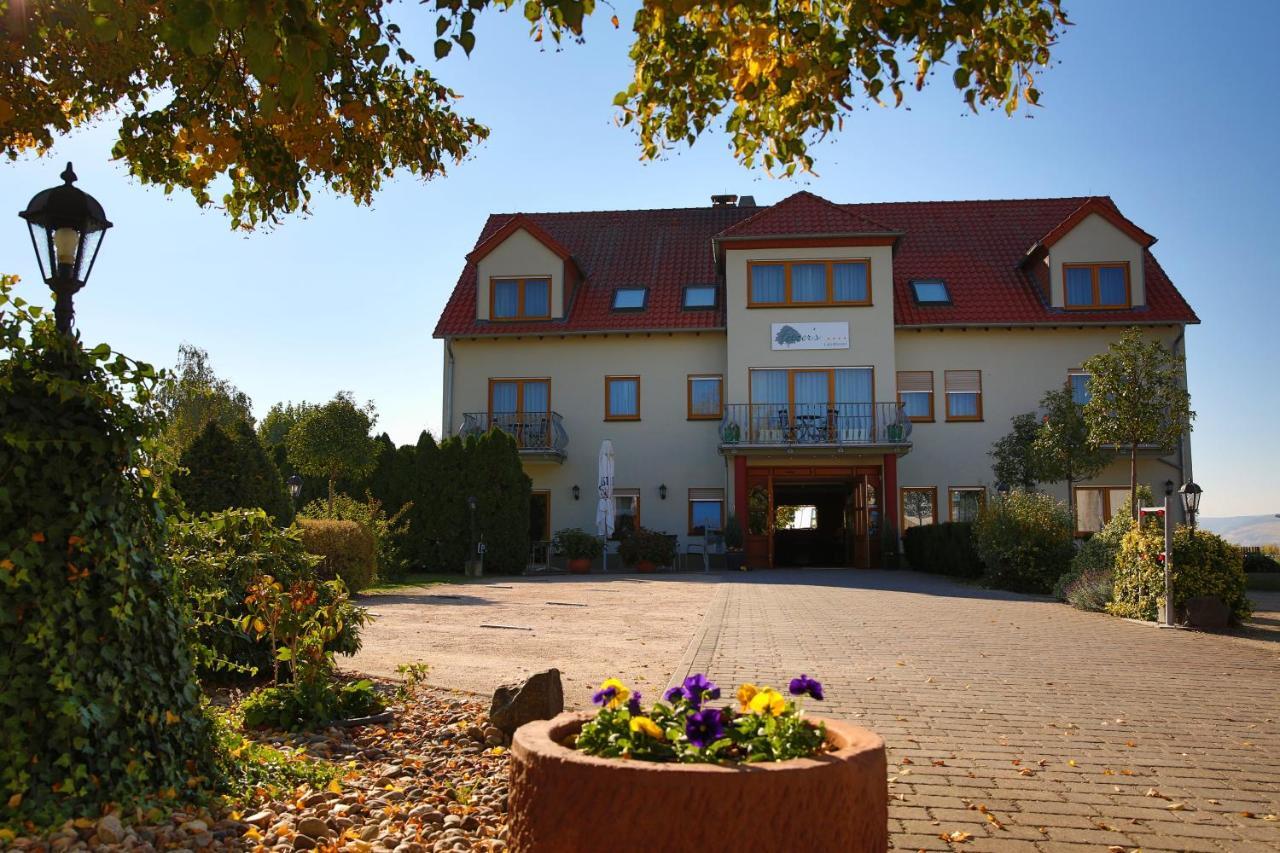 Fetzers Landhotel Ingelheim am Rhein Exterior photo